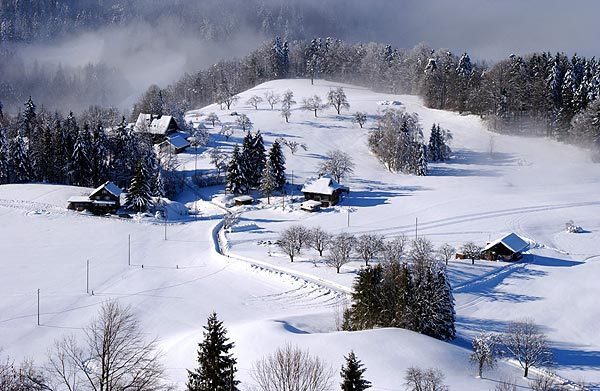 網(wǎng)站內(nèi)容測(cè)試