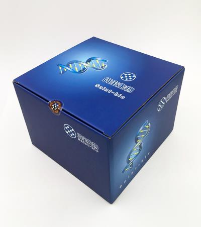 40%丙烯酰胺(39:1)