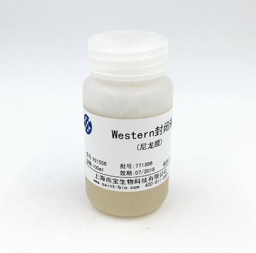 Western封閉液(尼龍膜)