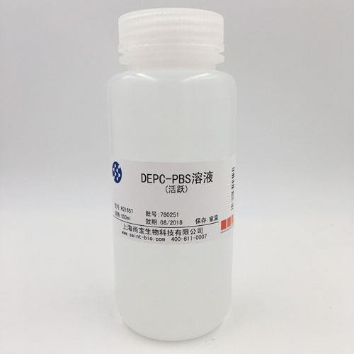 DEPC-PBS溶液(活躍)