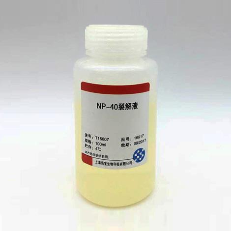 NP-40 裂解液