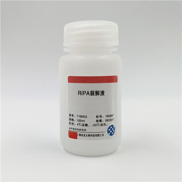 RIPA裂解液(強)