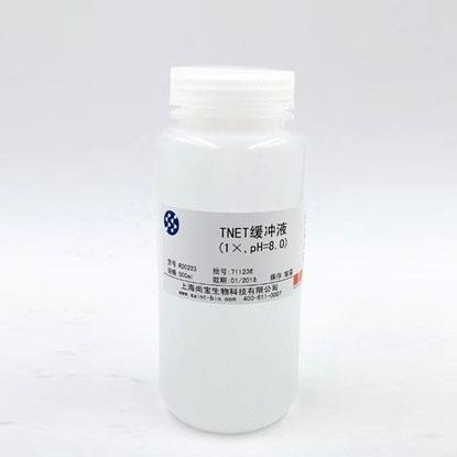 Tris鎂鹽緩沖液（1×，pH=7.8）