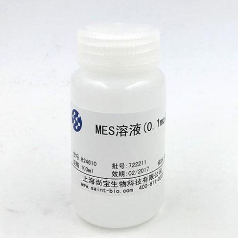 MES溶液(0.1M)
