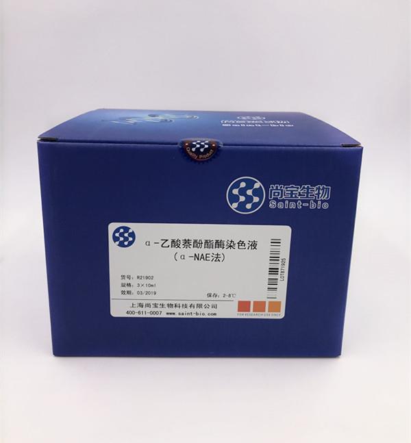 α-乙酸萘酚酯酶染色液(α-NAE法)