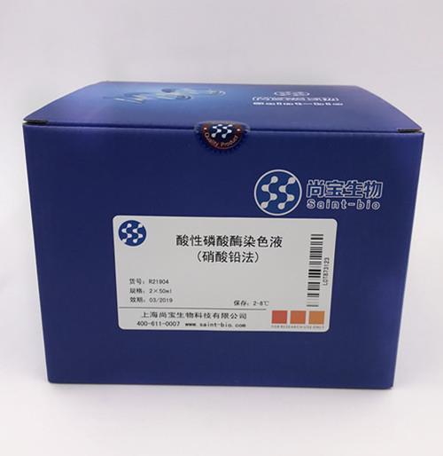 酸性磷酸酶染色液(硝酸鉛法)