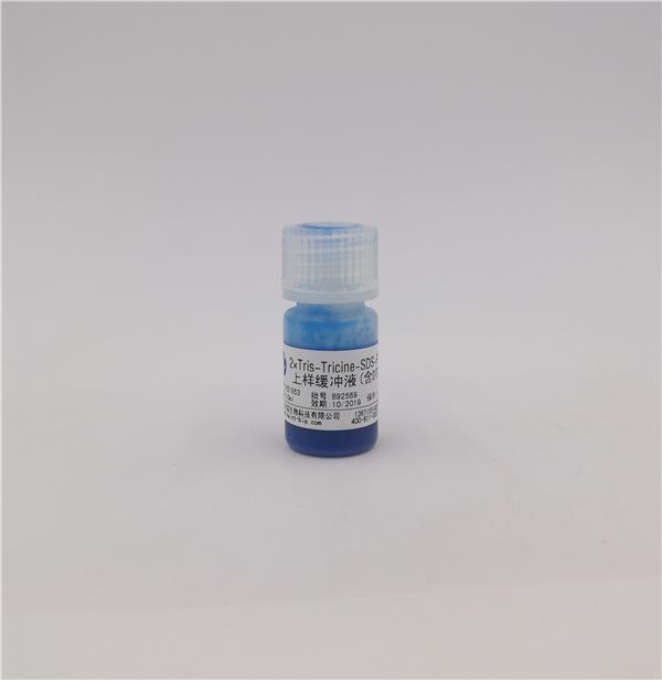 2×Tris-Tricine-SDS-PAGE上樣緩沖液（含DTT）