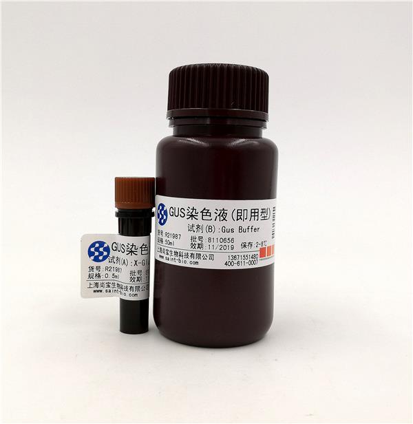 GUS染色液(即用型)