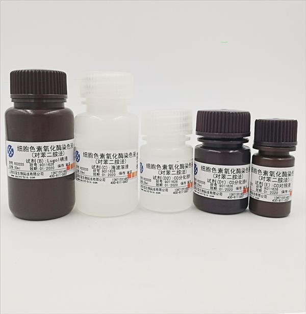 細(xì)胞色素氧化酶染色液(對苯二銨法)