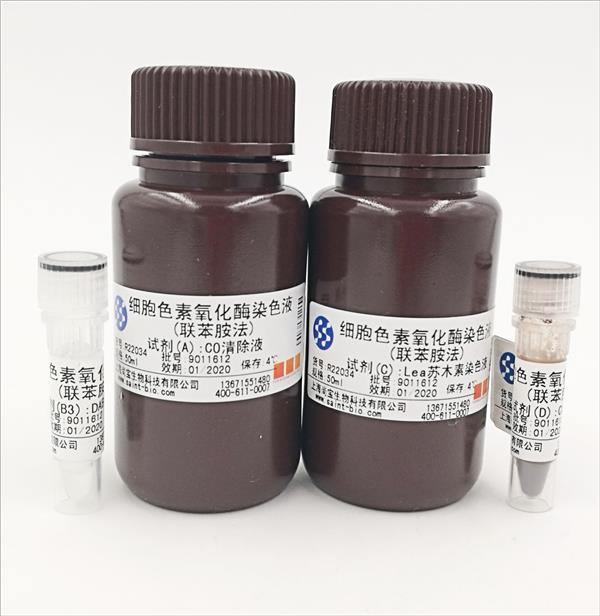 細(xì)胞色素氧化酶染色液(聯(lián)苯胺法)