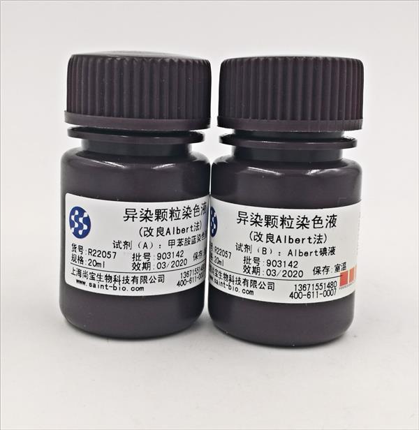 異染顆粒染色液(改良Albert法)