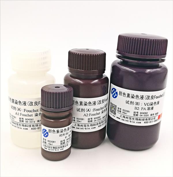 膽色素染色液（改良Fouchet法）