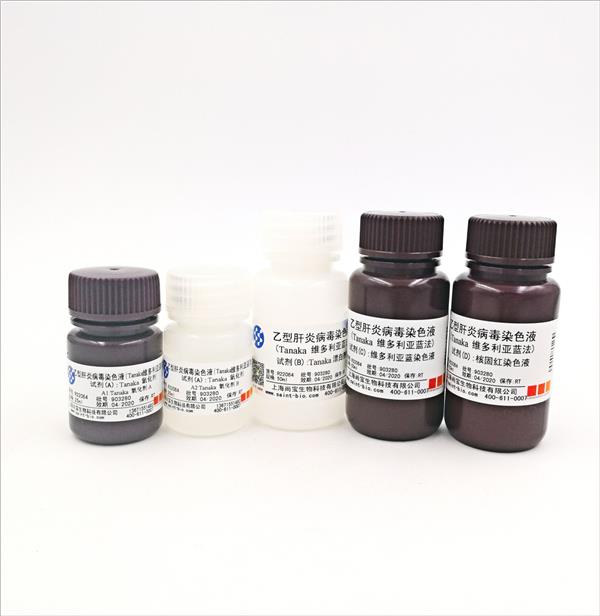 乙型肝炎病毒染色液(Tanaka維多利亞藍(lán)法)