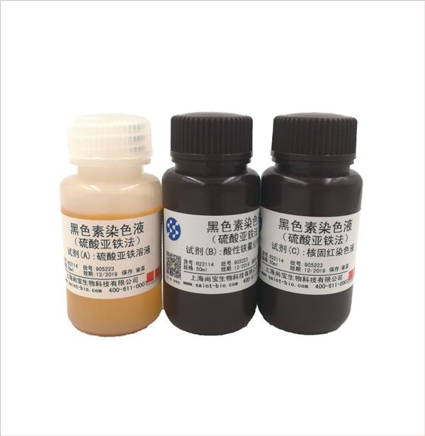 黑色素染色液(硫酸亞鐵法)