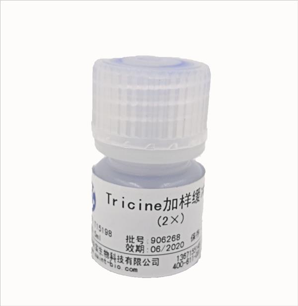 Tricine加樣緩沖液（2×）