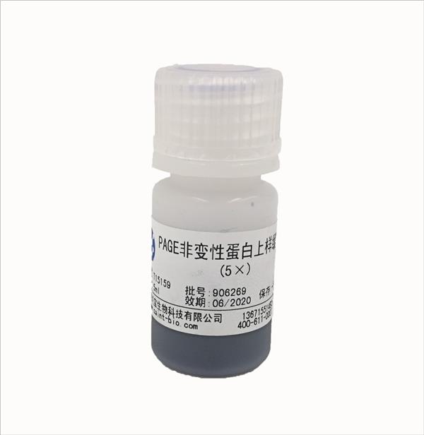 PAGE非變性蛋白上樣緩沖液（5×）