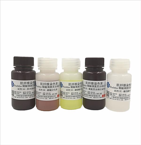 肌纖維染色液(Puchtler鞣酸偶氮熒光桃紅法)
