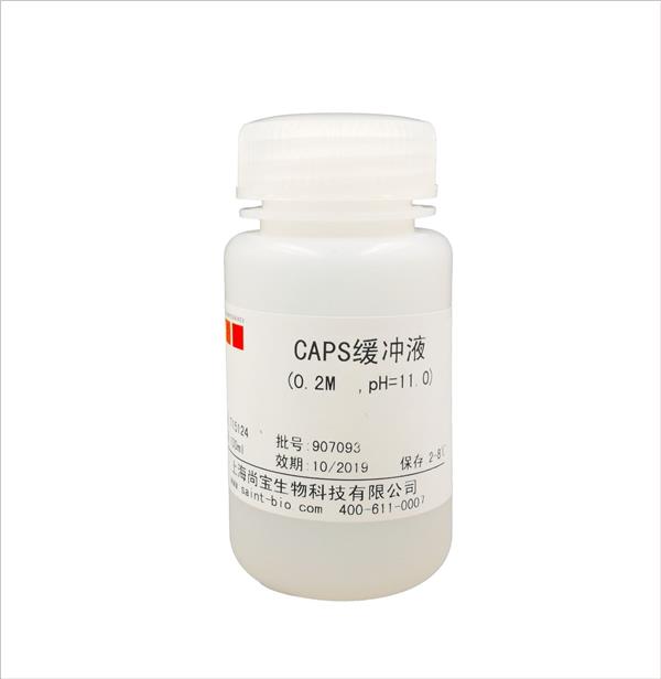 CAPS緩沖液（0.2M,pH=11.0）