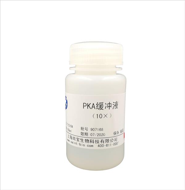 PKA緩沖液（10×）
