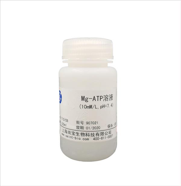 Mg-ATP溶液（10mM,pH=7.4）