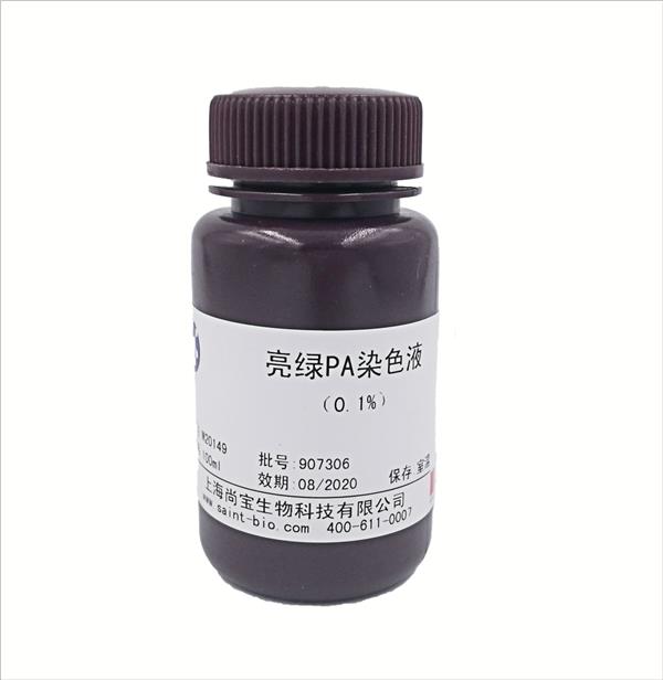 亮綠PA染色液(0.1%)